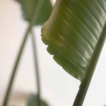 Agence de communication à Lyon 9