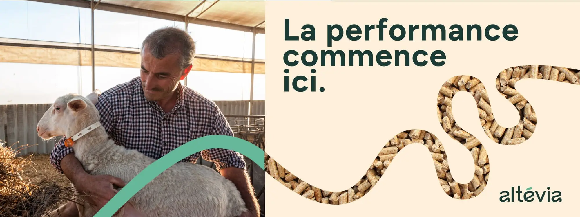 Altévia, la performance commence ici